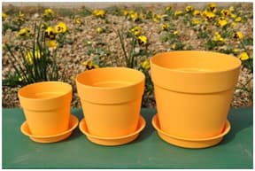 MINI plastic flower pot and planting